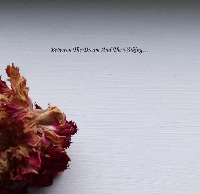 Between The Dream And.. for bandcamp
