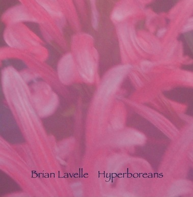 SWE006 Sleeve front web